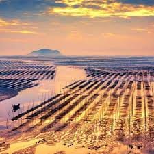 ซินดี้ สิรินยา avatar